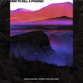 Blame It On the Internet Jeyess