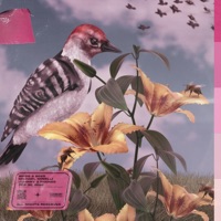 Birds & Bees - Single - Michael Minelli & Johnny 2 Phones