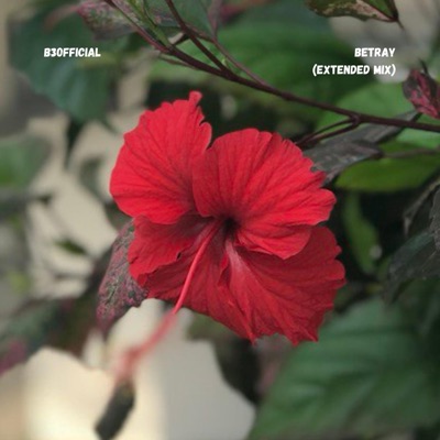 Betray (Extended Mix) - Single