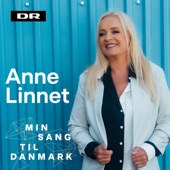 DANMARK artwork