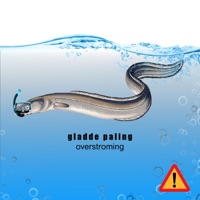 Overstroming - Single - gladde paling