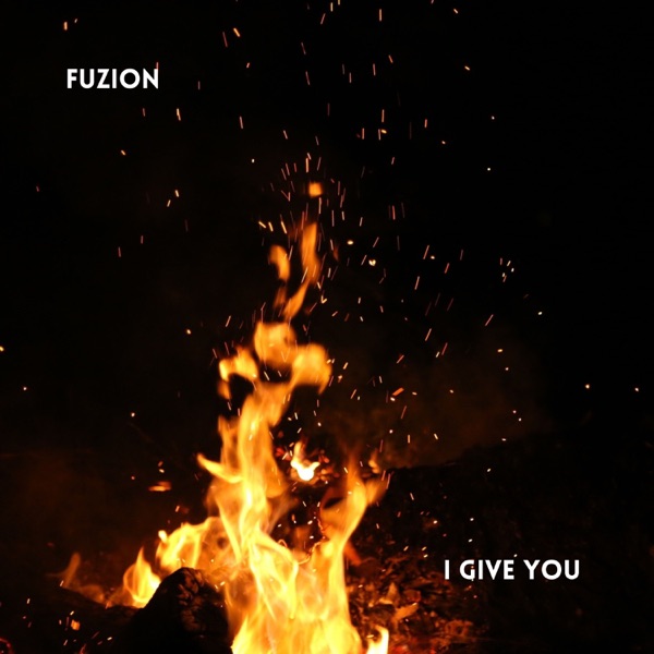 I Give You - Single