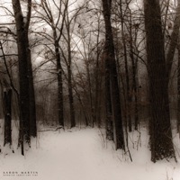 Worried about the Fire - Aaron Martin