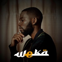 Weka - Single - R T