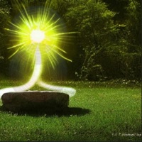 Levitation - Shamoor Bliss