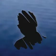 Hör dir First World Citizen an, schau dir Musikvideos an, lies die Biografie, finde Tourdaten und mehr!