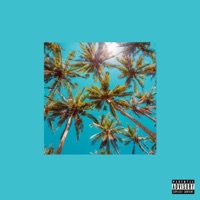 wave (feat. The Bars Brothers) - Single - Nono Santo