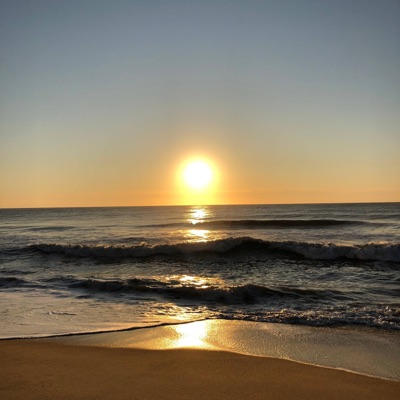 Settle (feat. Alpha Rellix) - Single