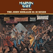 I Want You: The John Morales M+M Mixes artwork