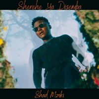 Sherehe Ya Disemba (Official Version) - Single - Shad Mziki