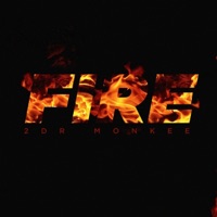 Fire - Single - AMNK a.k.a 2DR Monkee