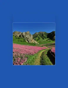 青海花兒을(를) 듣고, 뮤직 비디오를 보고, 약력을 읽고, 투어 일정 등을 확인하세요!