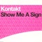 Show Me A Sign (Original Club Mix) artwork
