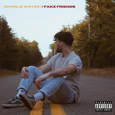 Fake Friends - Single