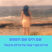 אני אני אני artwork