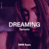 Dreaming (DNDM Remix) artwork