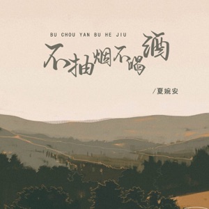 不抽烟不喝酒 - Single