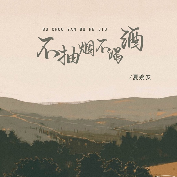 不抽烟不喝酒 - Single