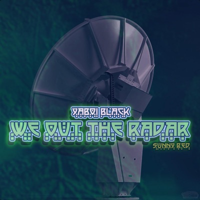 We Out the Radar (feat. Sunny Red) - Single