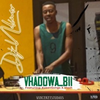 Vhadowa_Bii (feat. KveenSongs & Mash) - Single - Dj Ndinar