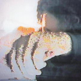 casualty (feat. tjweaver & Kenta204) harvest