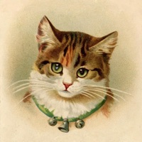 Deck the Halls - Single - Charmer & Klay