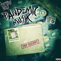 Lost Files Vol. 1 Pandemic Musik - Moneyboymarkk