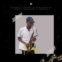 Peace (feat. Record L Jones) - Single - Phemelo Saxer & Kandy Beats
