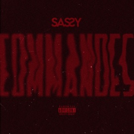 COMMANDES (SLOW Version) Sassy