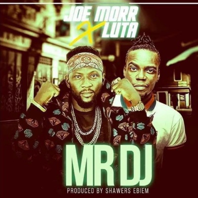 Mr Dj (feat. Luta) - Single