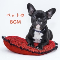 pet background music