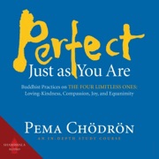 Perfect Just as You Are: Buddhist Practices on the Four Limitless Ones: Loving-Kindness, Compassion, Joy, and Equanimity (Original Recording) - Pema Chödrön