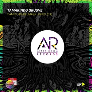 Tamarindo Gruuve - Single