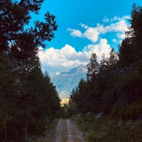 Arbor - Single - Tohaj