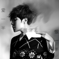 爱一半恨一半 (DJ阿忠舞曲) - EP - Wei Jia Yi