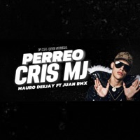 Album cover for PERREO CRIS MJ (feat. Mauro Deejay) by Juan Rmx