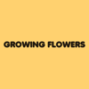 Growing Flowers - EP - TRT MUSIC GROUP