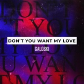 Don't You Want My Love artwork