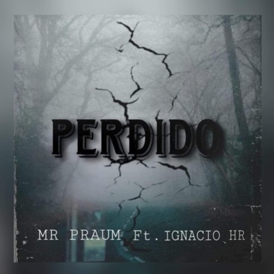 Perdido (feat. Ignacio HR) - Single