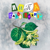 Липа гарно пахне (feat. Jointjay) - Single - Довгий Пес