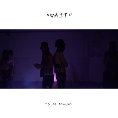 WAIT (feat. Dilumi) - Single
