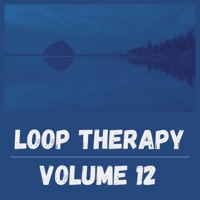 Loop Therapy 12 - Rob.D