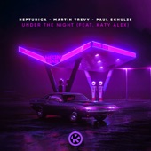Under the Night (feat. Katy Alex) [Extended Mix] artwork