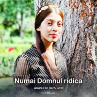 Numai Domnul ridica - Single - Amira din Barbulesti