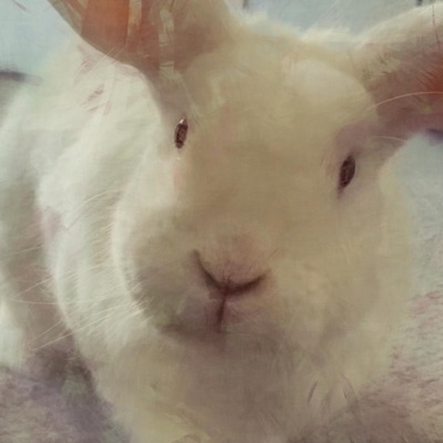Fuzzy - Single