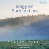 Elegy on Sudden Loss artwork