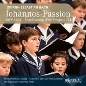 Johannes-Passion, BWV 245.1: No. 1, Coro. Herr, unser Herrscher artwork