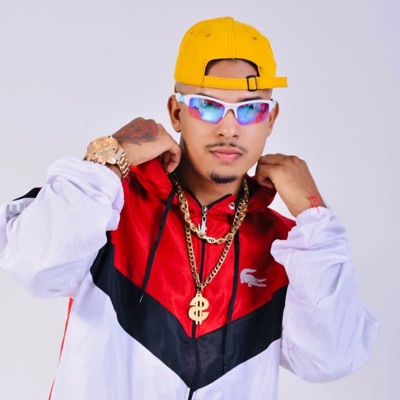 Novinha Malandra - Single