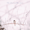 The Bird and the Snow - Adrien de la Salle & Adrian Zaharia