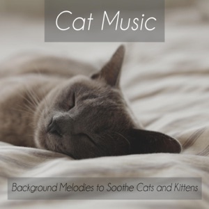 Cat Music: Background Melodies to Soothe Cats and Kittens